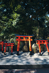 KYOTO, JAPAN - MARCH 12, 2024 : Red Torii gates in Fushimi Inari shrine, one of famous landmarks in Kyoto, Japan. 