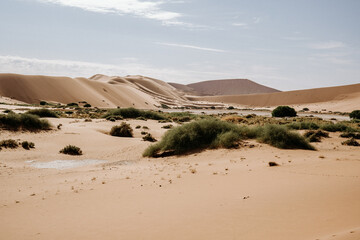 Namibia Dunes Big Daddy Deadvlei