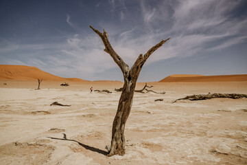 Namibia Deadvlei Sossusvlei Dunes