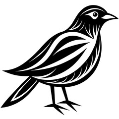 Bird vector silhouette 