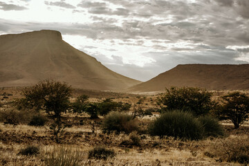 Fototapeta premium Sonnenaufgang in Palmwag in Namibia