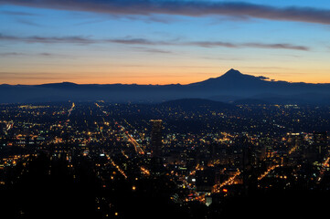 City lights shine brightly at night, viewed from a hillside