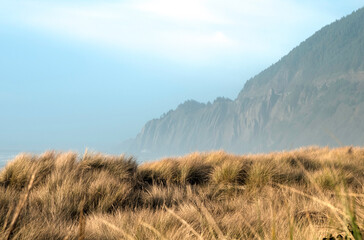 Misty day mountain field with sky background