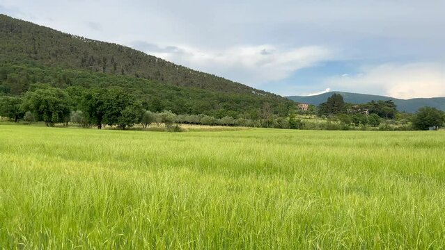 Landscape no people of grass meadow field with mountains and blue sky in background. Peaceful nature outdoors with calm wind outdoors.