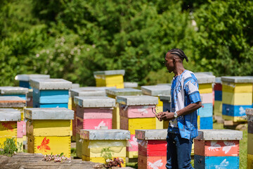 African American Teenager Exploring Small Beekeeping Businesses in Traditional Sudanese Attire...