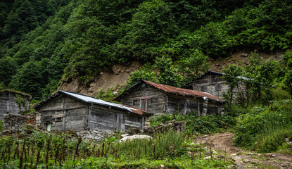 Traditional Black Sea houses made of wood