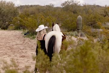 Arizona Equestrian equine horse portraits paint horse