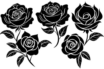 rose flower set silhouette vector illustration