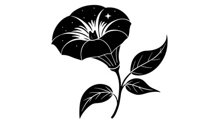 morning glory flower silhouette vector illustration