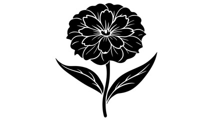 sweet William flower silhouette vector illustration