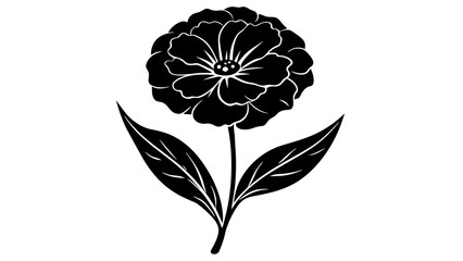 sweet William flower silhouette vector illustration