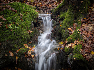 The waterfall in green forest.