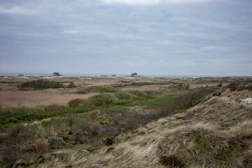 landscape of dunes on the North Sea in Germany