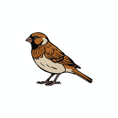 Robin Bird is a cute little bird character with a white background, vector illustration