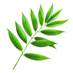 Fototapeta premium Illustration of green tropical palm leaf isolated on a white background. Perfect for botanical, nature, and decorative purposes. transparent backgrounds