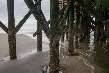 Landscape  on North Sea  in Germany