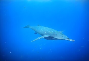 Fototapeta premium 8 June - World Oceans Day