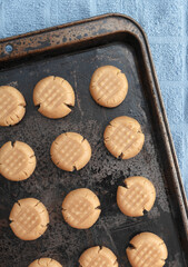 Overhead shot of ready to bake peanut butter cookies on baking sheet