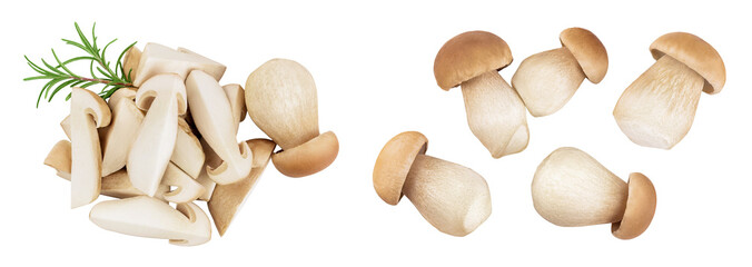 Fresh porcini cep mushroom slices isolated on white background with full depth of field