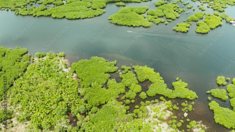 Wall mural aerial panoramic mangrove forest view in siargao island,philippines. mangrove landscape