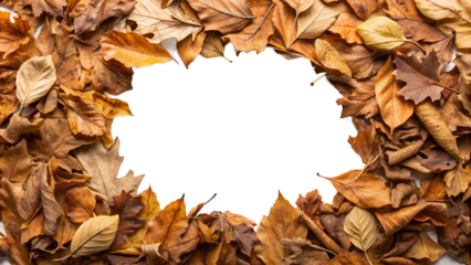 a collection of dry brown autumn leaves arranged in a frame, creating an empty white space in the center. The leaves vary in color from light brown to dark brown