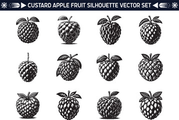 Custard Apple fruit silhouette vector illustration set
