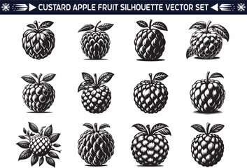 Custard Apple fruit silhouette vector illustration set