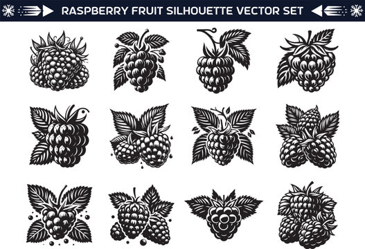 Raspberry fruit silhouette vector illustration set