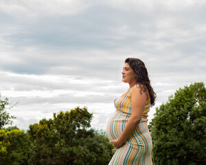 Fototapeta premium pregnant woman on a sunny day, with space to write, in a clear sky, with a mountain view and green vegetation.