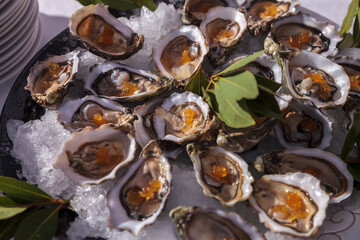Plate of fresh oysters food presentation crustaceans seafood