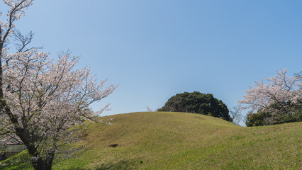 日本の風景・千葉県｜桜の咲く大覚寺山古墳・生浜公園