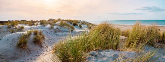 Beautiful dutch coastline at Texel island, Netherlands, in spring at sunset 