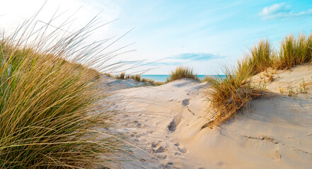 Beautiful dutch coastline at Texel island, Netherlands, in spring at sunset 