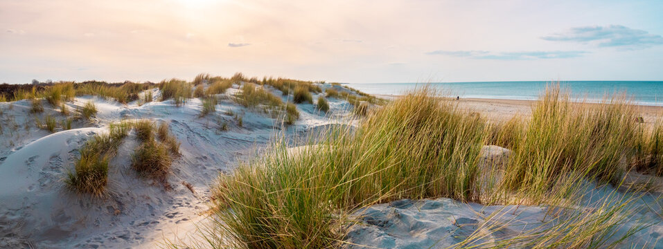 Beautiful dutch coastline at Texel island, Netherlands, in spring at sunset 