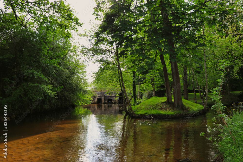 Wall mural river in the park