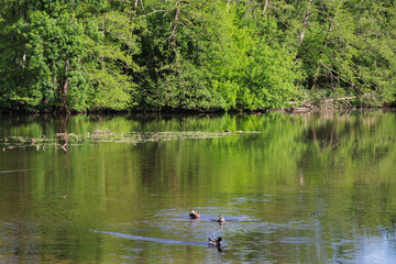 fishing on the river