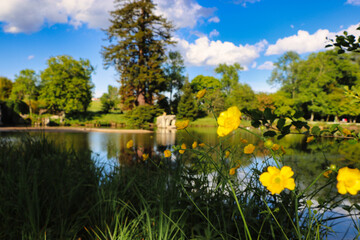 landscape with flowers and lake