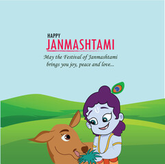 Happy Krishna Janmashtami Festival Greetings, cute little Krishna illustration feeding cow