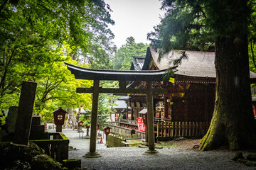Kitaguchi Hongu Fuji Sengen Shrine, wooden shrine, vermilion, mount fuji, shinto shrine, forest shrine, fujisan, japan