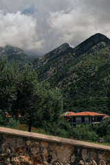 Fototapeta premium Bar city in Montenegro. The subtropical nature of the Balkan Peninsula. Olive trees in Montenegro on a summer sunny day. Houses with red tiled roofs in the mountains.