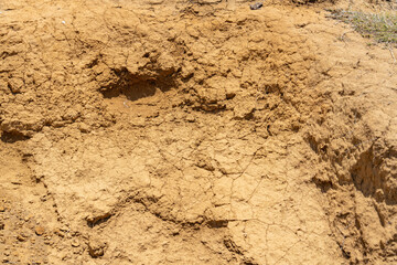 Tephra fallout and reworked ash / Tephra deposits. In USDA soil taxonomy, andisols are soils formed in volcanic ash. Ka Lae / South Point, Big island Hawaii