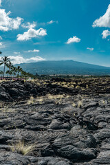 Alkalic basalt / Lava flows, from Hualalai Volcanics, about 1500 to 3000 years, Keahole Airport Rd, Kona International Airport. Hualālai is an active volcano