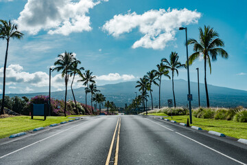 Keahole Airport Rd, Kona International Airport. The coconut tree (Cocos nucifera) is a member of...