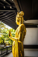 Obraz premium kannon, golden statue, hasedera temple, hase-dera, kamakura, tree, japan, buddhist temple
