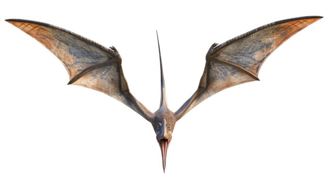 recommend clip art: Clipart vector illustration of a flying dinosaur, Pterodactyl.