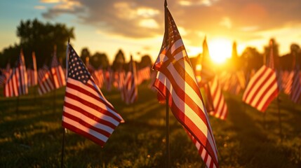 Obraz premium US national flag in park