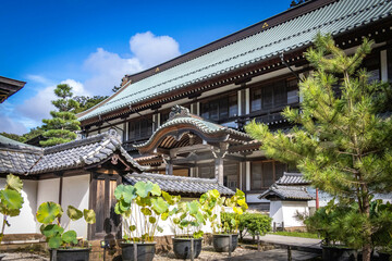 entrance, kencho-ji, kenchoji, temple, kamakura, japan, buddhist, zen, zen garden, meditation