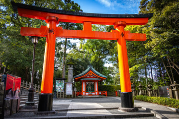 fushimi inari taisha, fushimi inari, kyoto, torii, gates, vermilion, pathway, japan, temple, shrine
