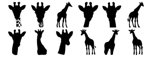 Giraffe silhouettes set, pack of vector silhouette design, isolated background