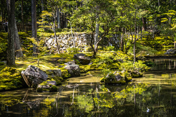 moss temple, saihoji, saiho-ji, kokedera, temple, kyoto, moss, world heritage, tranquility, japan, 